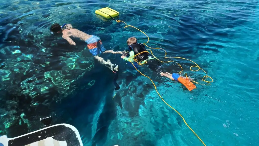 Reef Discovery Snorkeling crystal clear reef in Lower Keys