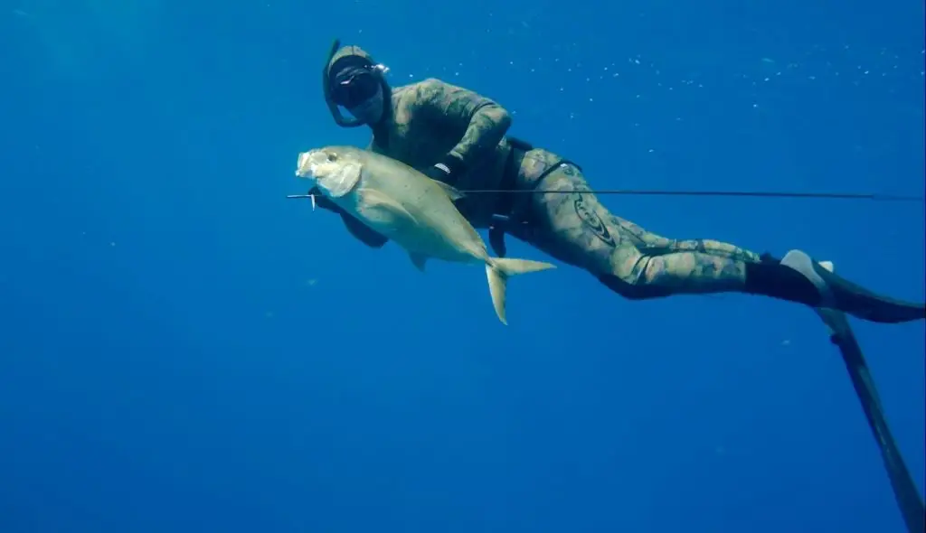 20110410_pompanos_5929-1030x593