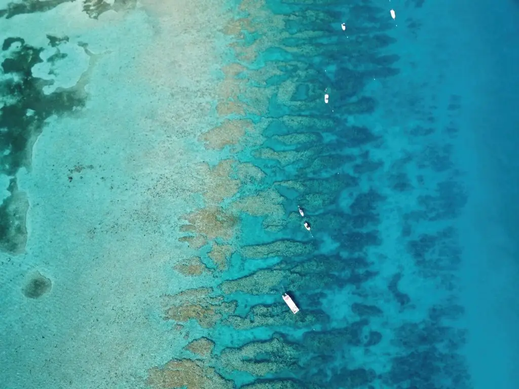 Looe Key Reef from Above - Premier Snorkeling Destination Aerial view of several Lower Keys Adventure Charters vessels exploring the crystal-clear waters of Looe Key Reef, showcasing prime snorkeling location
