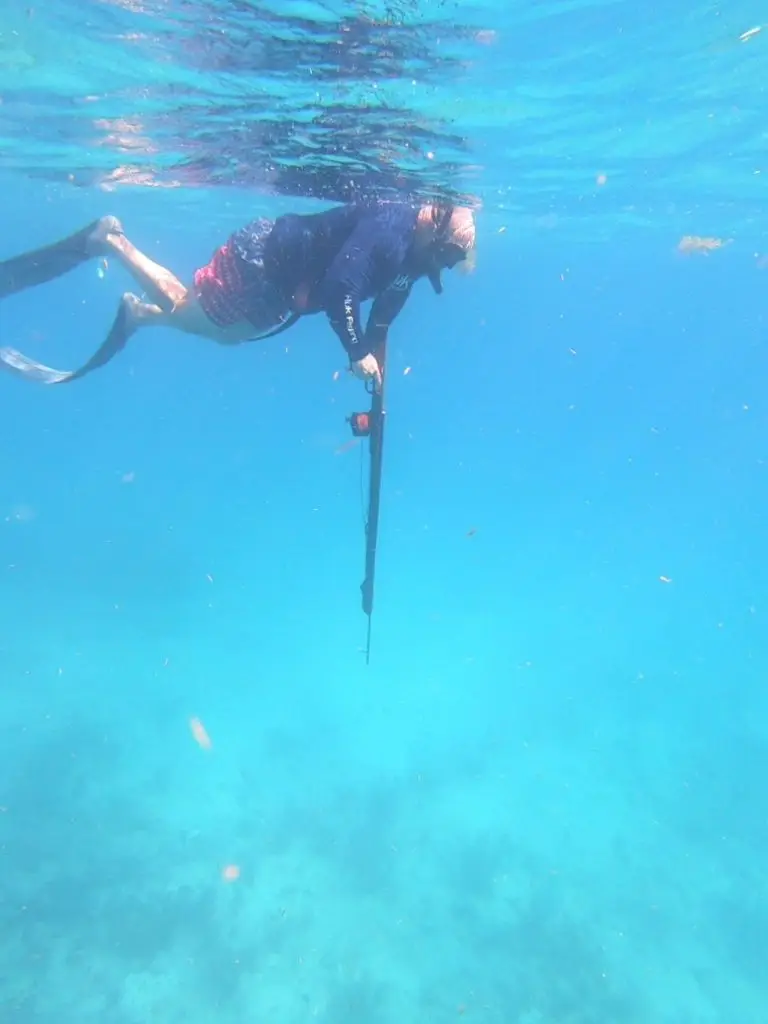 Underwater Hunt Guided spearfishing adventure in Lower Keys waters