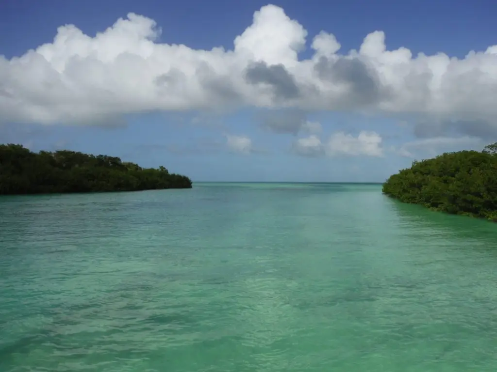Backcountry Beauty Crystal-clear channel between Lower Keys landmasses, showcasing pristine waters perfect for private eco tours