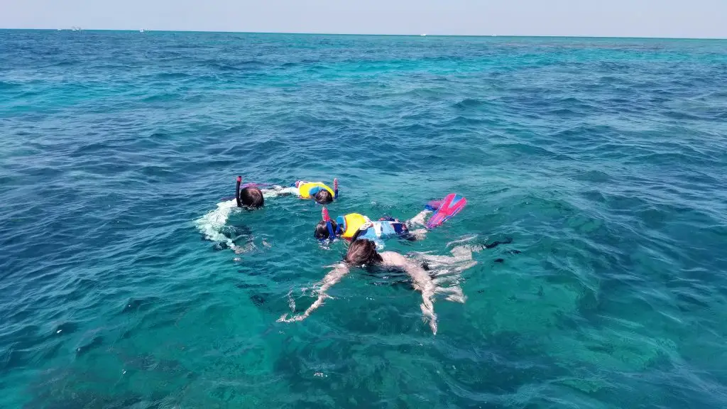 Children enjoying safe snorkeling experience in crystal-clear Lower Keys waters during family charter