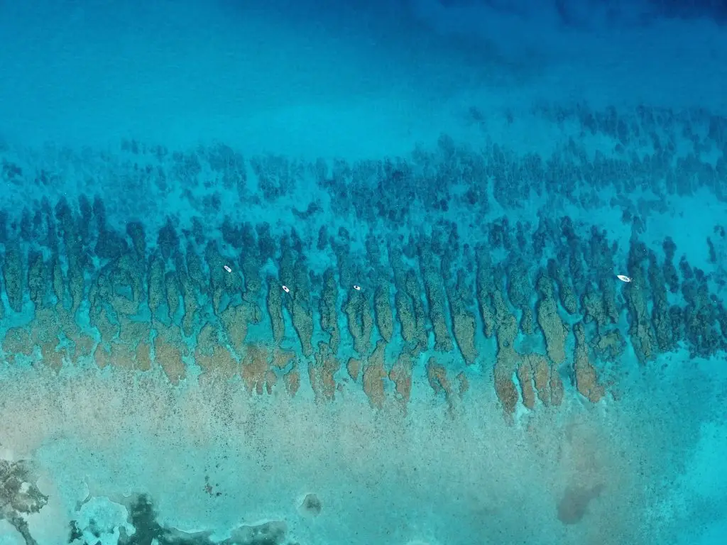 Looe Key Reef's Grand Scale - Aerial Wonder View Sweeping birds-eye view of Looe Key Reef's vast expanse during Lower Keys snorkeling tours, showcasing the entire reef system in crystal-clear waters