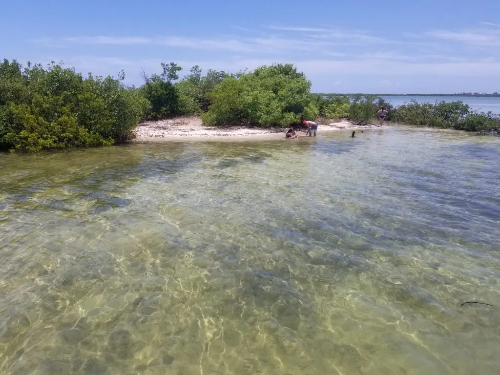 Pristine shallow waters surrounding mangrove island during Lower Keys eco tours with private charter experience