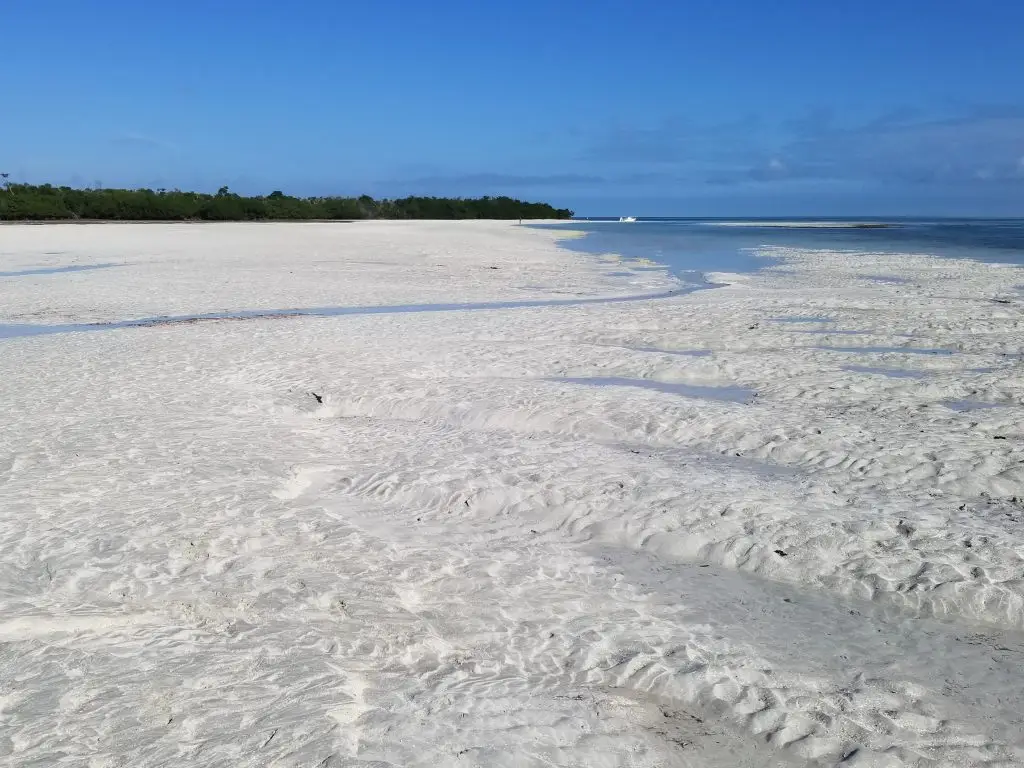 Pristine sandbar with mangrove trees and open ocean backdrop in Lower Keys waters near Summerland Key