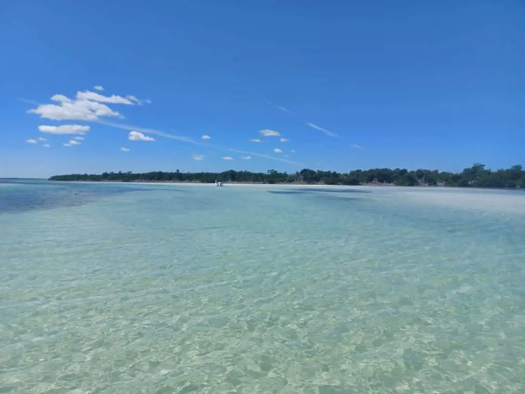 Shallow Water Paradise - Lower Keys Scenic Beauty Crystal-clear shallow waters with scenic Lower Keys landscape in background on beautiful sunny day